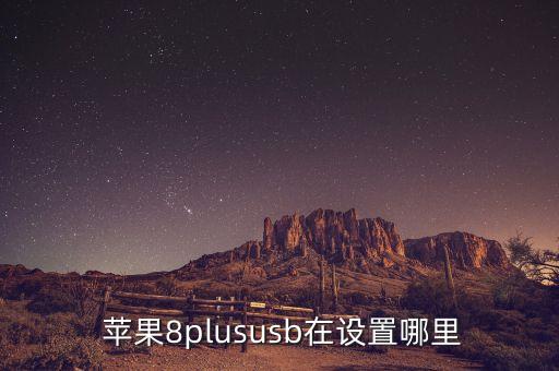  蘋果8plususb在設(shè)置哪里