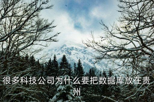 富士康貴陽(yáng)數(shù)據(jù)中心,貴陽(yáng)數(shù)據(jù)中心有利自然條件