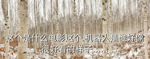 這個(gè)是什么電影這個(gè) 機(jī)器人是誰好像很好看的樣子……