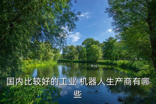 國家哪家做機器人,不同國家的機器人