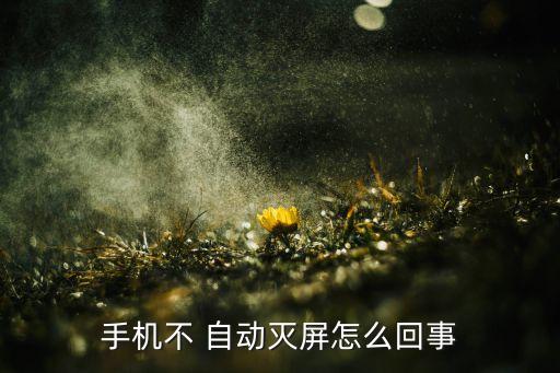 手機(jī)不 自動滅屏怎么回事