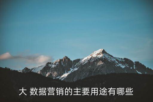 大 數(shù)據(jù)營(yíng)銷的主要用途有哪些
