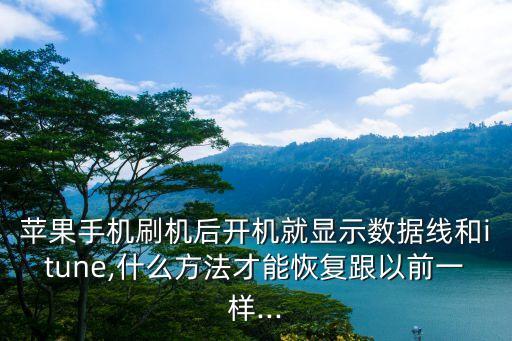 ipad4 dfu模式顯示數(shù)據(jù)線的圖形是ipad3以前的