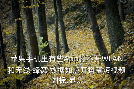 app無法使用蜂窩數(shù)據(jù)嗎,蘋果APP無法使用蜂窩