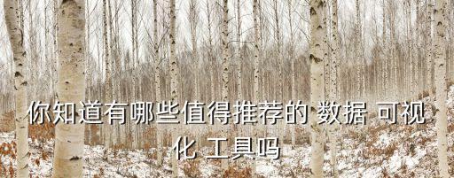 你知道有哪些值得推薦的 數(shù)據(jù) 可視化 工具嗎