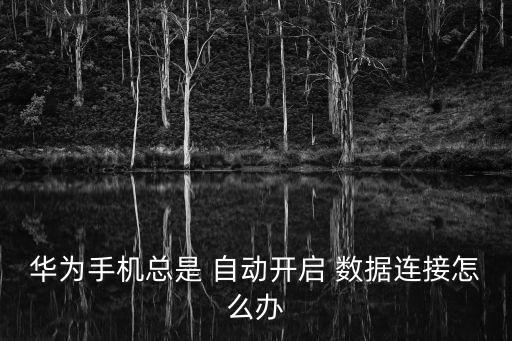 華為手機(jī)總是 自動(dòng)開啟 數(shù)據(jù)連接怎么辦