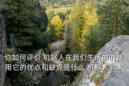 樂迪智能機器人缺點