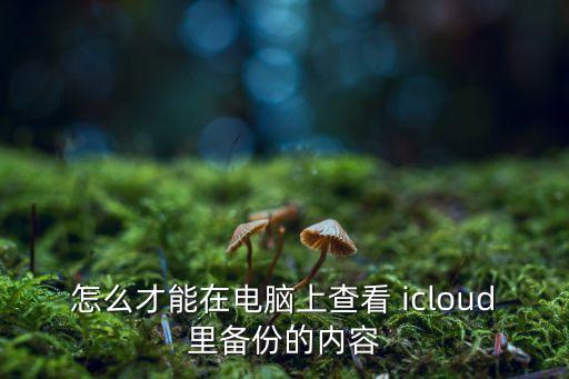 怎么才能在電腦上查看 icloud里備份的內(nèi)容