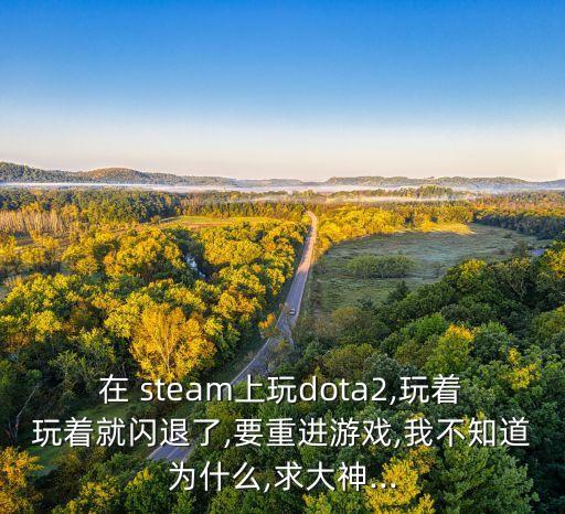 在 steam上玩dota2,玩著玩著就閃退了,要重進游戲,我不知道為什么,求大神...