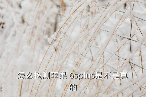 怎么檢測蘋果 6splus是不是真的