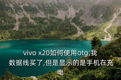 x20數(shù)據(jù)線接口,數(shù)據(jù)線接口碰水了怎么辦
