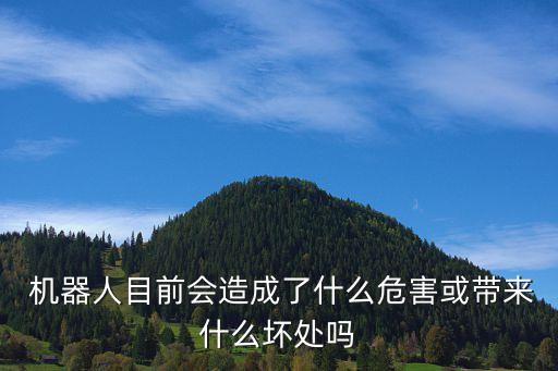 機(jī)器人目前會造成了什么危害或帶來什么壞處嗎