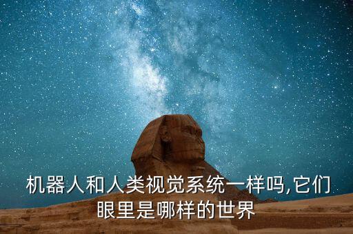 機(jī)器人的眼睛是什么