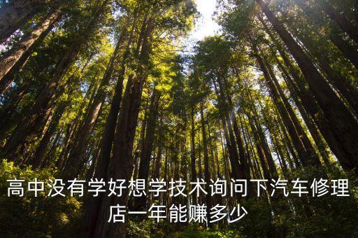 高中沒有學好想學技術(shù)詢問下汽車修理店一年能賺多少
