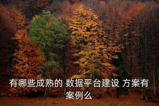 有哪些成熟的 數(shù)據(jù)平臺建設(shè) 方案有案例么