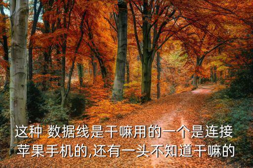 這種 數(shù)據(jù)線是干嘛用的一個(gè)是連接 蘋果手機(jī)的,還有一頭不知道干嘛的