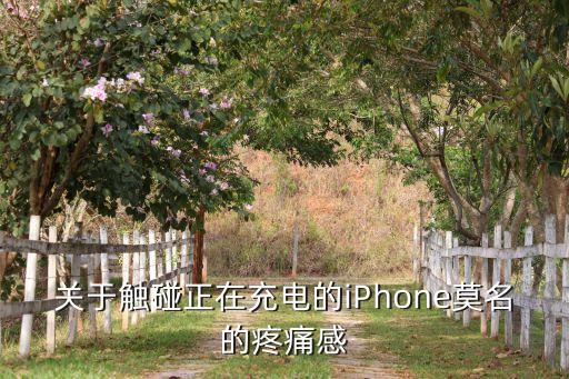 蘋果數(shù)據(jù)線碰身體