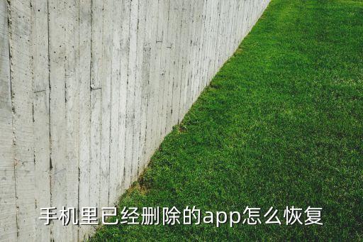 手機里已經(jīng)刪除的app怎么恢復