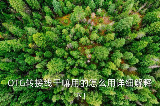 OTG轉(zhuǎn)接線干嘛用的怎么用詳細(xì)解釋下!