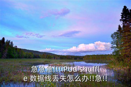 急急急!!!iPod shuffle 數(shù)據(jù)線丟失怎么辦!!急!!