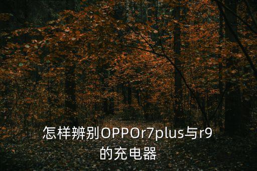 怎樣辨別OPPOr7plus與r9的充電器