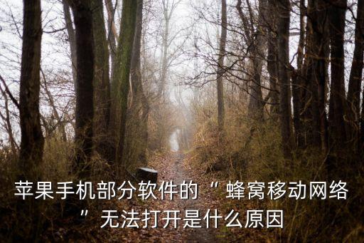 蘋果手機(jī)部分軟件的“ 蜂窩移動(dòng)網(wǎng)絡(luò)”無法打開是什么原因