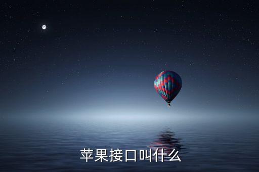  蘋(píng)果接口叫什么