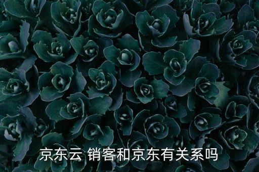 京東云 銷客和京東有關(guān)系嗎