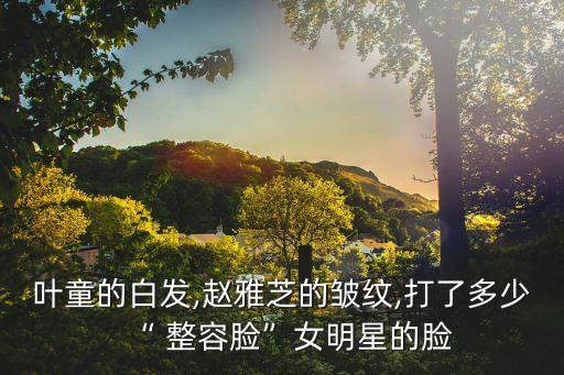 中國(guó)女性整容數(shù)據(jù),中國(guó)獨(dú)居女性數(shù)據(jù)