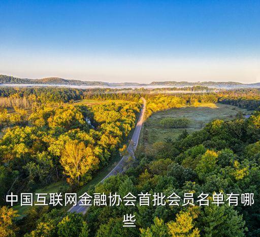 中國互聯(lián)網(wǎng)金融協(xié)會(huì)首批會(huì)員名單有哪些