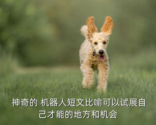 9神奇的機器人ppt,神奇的機器人作文300字