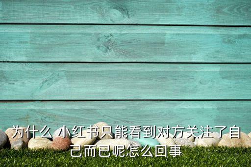 為什么 小紅書(shū)只能看到對(duì)方關(guān)注了自己而已呢怎么回事