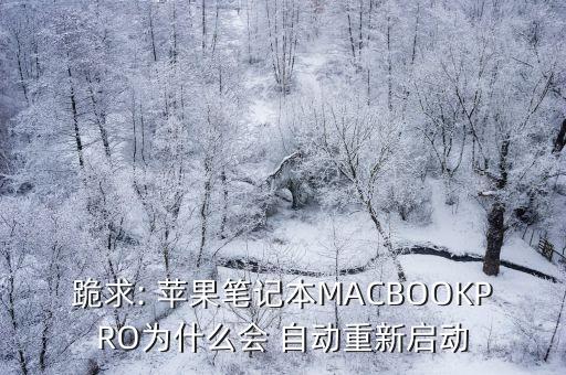 蘋果po老是自動安裝
