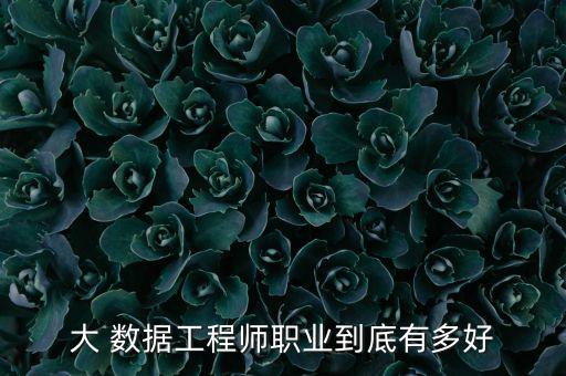 大 數(shù)據(jù)工程師職業(yè)到底有多好