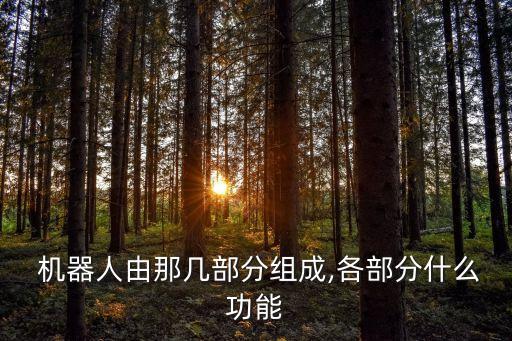  機(jī)器人由那幾部分組成,各部分什么功能