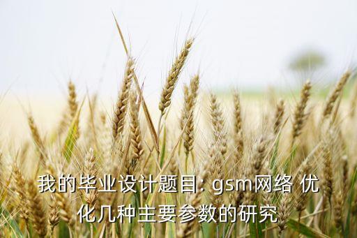 什么是gsm數(shù)據(jù)優(yōu)化