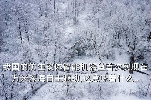 魚機(jī)器人,創(chuàng)造與魔法自動釣魚機(jī)器人