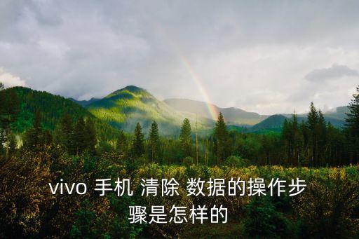 vivo 手機(jī) 清除 數(shù)據(jù)的操作步驟是怎樣的