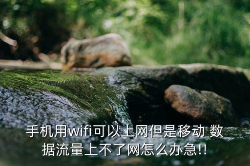 手機用wifi可以上網(wǎng)但是移動 數(shù)據(jù)流量上不了網(wǎng)怎么辦急!!