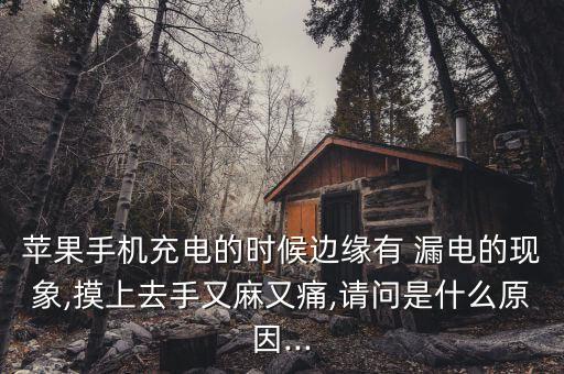蘋果手機(jī)充電的時(shí)候邊緣有 漏電的現(xiàn)象,摸上去手又麻又痛,請問是什么原因...