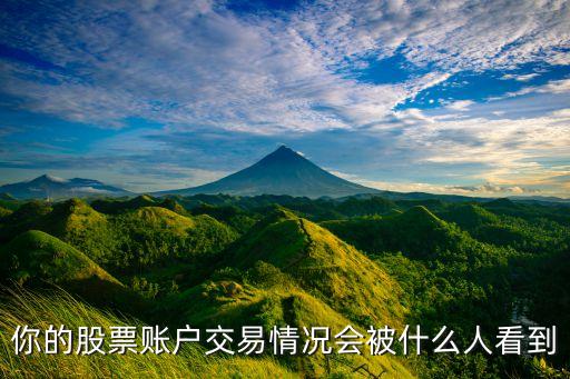 你的股票賬戶交易情況會被什么人看到