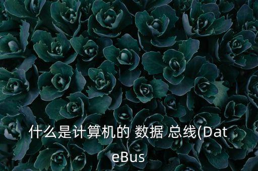 什么是計算機(jī)的 數(shù)據(jù) 總線(DateBus