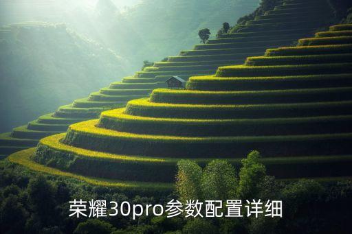 榮耀30pro參數(shù)配置詳細(xì)