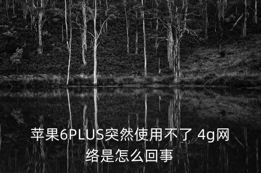 蘋(píng)果6PLUS突然使用不了 4g網(wǎng)絡(luò)是怎么回事