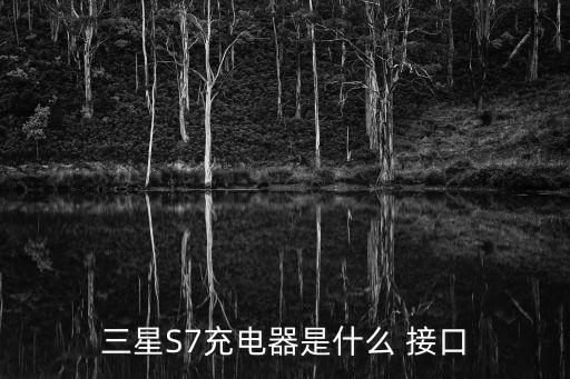 三星S7充電器是什么 接口