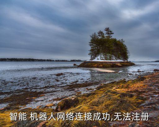 智能 機器人網(wǎng)絡(luò)連接成功,無法注冊