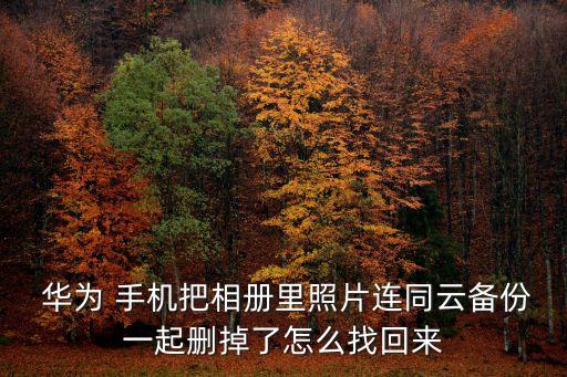  華為 手機(jī)把相冊(cè)里照片連同云備份一起刪掉了怎么找回來