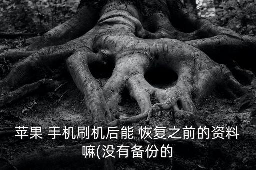 蘋果 手機(jī)刷機(jī)后能 恢復(fù)之前的資料嘛(沒有備份的