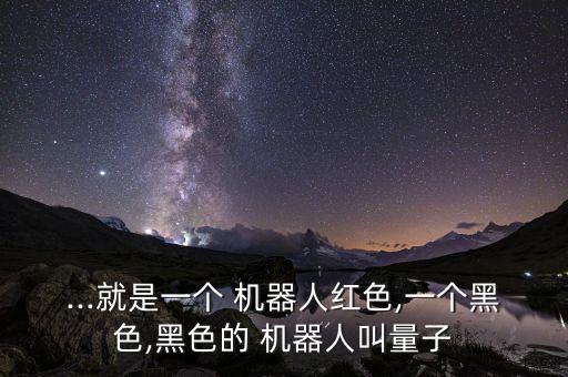 ...就是一個 機器人紅色,一個黑色,黑色的 機器人叫量子
