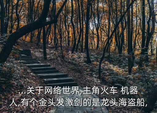 ...關(guān)于網(wǎng)絡(luò)世界,主角火車 機(jī)器人,有個(gè)金頭發(fā)激劍的是龍頭海盜船,